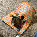 Fashion New Pets Toys Cat Diamond Bag Pet