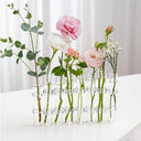Test Tube Clear Glass Vase For Plant Bottle