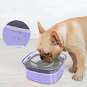 Pet Dog Floating Water Bowl Splash-proof Not Wet