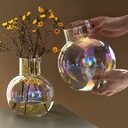 Creative Glass Vase Transparent Hydroponic Flower Dry