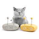 Electric Cat Interactive Toys Funny Pet Teasing Robot