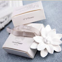 Car Mounted Fragrance Gypsum Flower