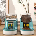 Pets Water Dispenser Cat Dog Automatic Feeder Pet