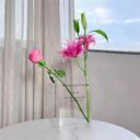 Clear Book Flower Vase Creative Transparent Modern Decorative