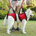 Pet Specific Safety Care Equipment Auxiliary Belt