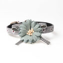 Pet dog collar pu cat