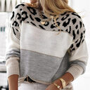 Women's Leopard Print Color-block Crew Neck Casual Sweater