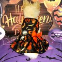 Halloween Small Dog Clothes Pet Dress Pumpkin Print