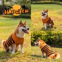 Halloween Dog Sweaters Pet Costume Teddy Warm Leisure