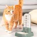 Cat And Dog Drink Fountain Live Water Circulating