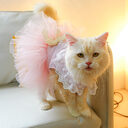 Pet Clothing Cat Clothes Lace