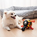 Dog Soccer Balls Toy With Sraps Halloween Christmas