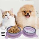 Portable Silicone Double Dog Food Bowls Foldable Non-Slip