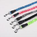 Dog Hand Holding Rope Walking Lengthened Leash