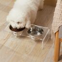 Acrylic Dogs And Cats Pet Feeder Small Cat