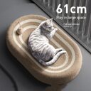 Cat Scratch Board Sisal Basin