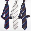 Business Formal Wear Classic Contrast Color Twill Tie
