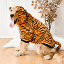 Pet Dog Golden Retriever Clothes Tiger Costume