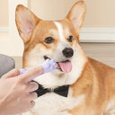 Dog Finger Toothbrush Small Cleaning