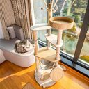 Cat Climbing Frame Large Integrated Shelf Tree