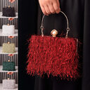Tassel Handbags Women Dress Party Evening Bag Fashion