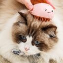 Pet Cat Dog Electric Spray Except Hair Comb