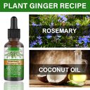 Rosemary Hair Care Essential Oil Anti-loss Growth Nourish