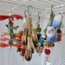 Parrot Toys Bite Supplies Bird Stand Rod Cage