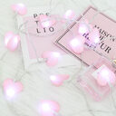 Led Lights Curtain Fabric Peach Heart String