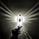 Modern Creative Bird Wall Lamp Owl Eagle Shape