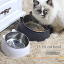 Stainless Steel Dog Bowl Double Cervical Protection Oblique