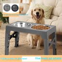 Pet Feeder Slow Feeding Bowl Lifting Dog Rack