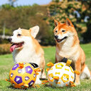 Dog Interactive Football Toys Children Soccer Outdoor Training