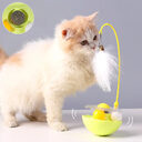 Cat Interactive Toy Funny Tumbler Kitten Exercise Catching