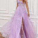 Temperament Red Carpet Catwalk Show Banquet Annual Meeting
