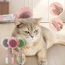 2 In 1 Self Cleaning Dog Brush Comb