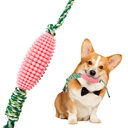 Puppy Toothbrush Clean Teeth Interactive Corn Toys Dog