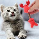 Cat Toy Kitten Toys Teeth Cleaning Silvervine Sticks