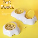 Double Dog Bowls Pet Water And Food Preventing