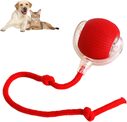 Rolling Ball For Dogs Doggie Interactive Dog Smart