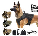 Pet Harness Luxury Dog Leash Set Chest Nylon