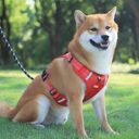 Nylon Dog Harness No Pull Breathable Reflective Pet