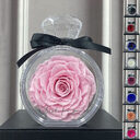 Natural Eternal Flower Ornaments Transparent Cover Dried Rose
