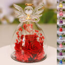 Eternal Flower Gift Box Angel Glass Cover Dried