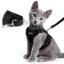 Escape Proof Cat Vest Harness And Car Seat