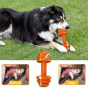 Durable Dog Chew Toys For Aggressive Chewers Food