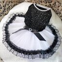 Pet clothing spring and summer dog