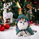 Christmas and Halloween changing into funny cat clothes