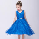 Kids girls dress children Costume Lace Tong