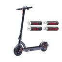10inch Electric Scooter 36V 10AH 350W For Adults